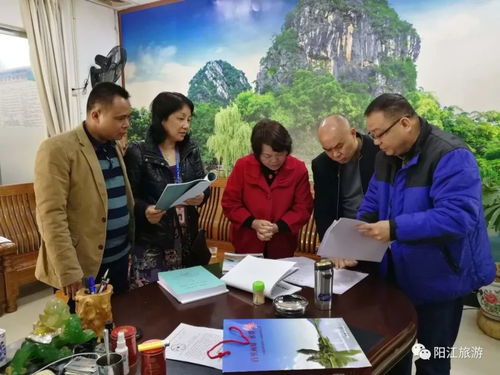 陽江迎春開門紅 歡樂祥和、平安有序、優質服務的旅游新氣象